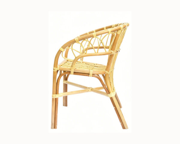 Capricon Chair
