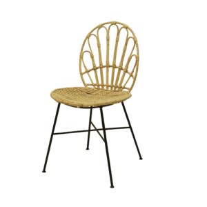 Peacock Chair