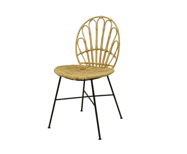Peacock Chair