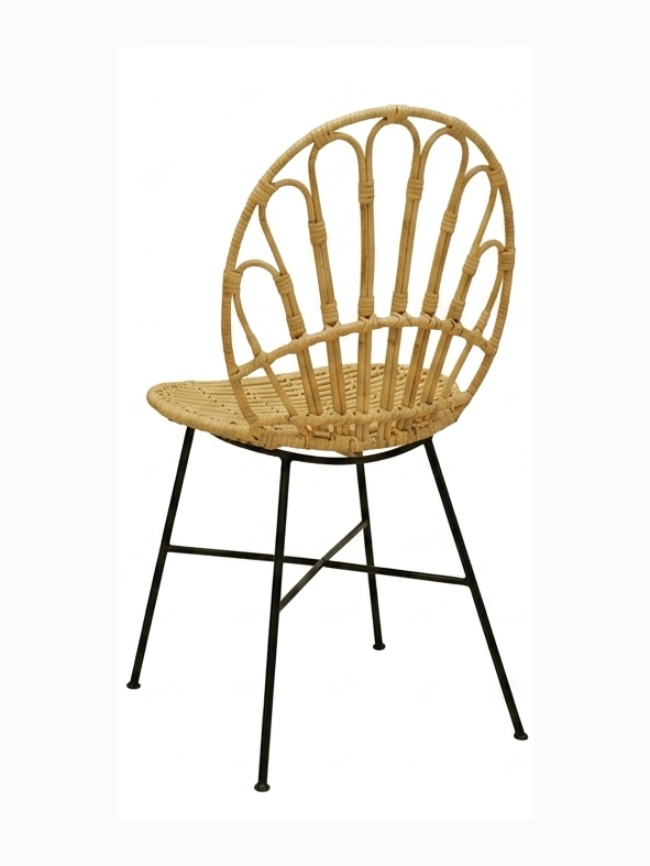 Peacock Chair